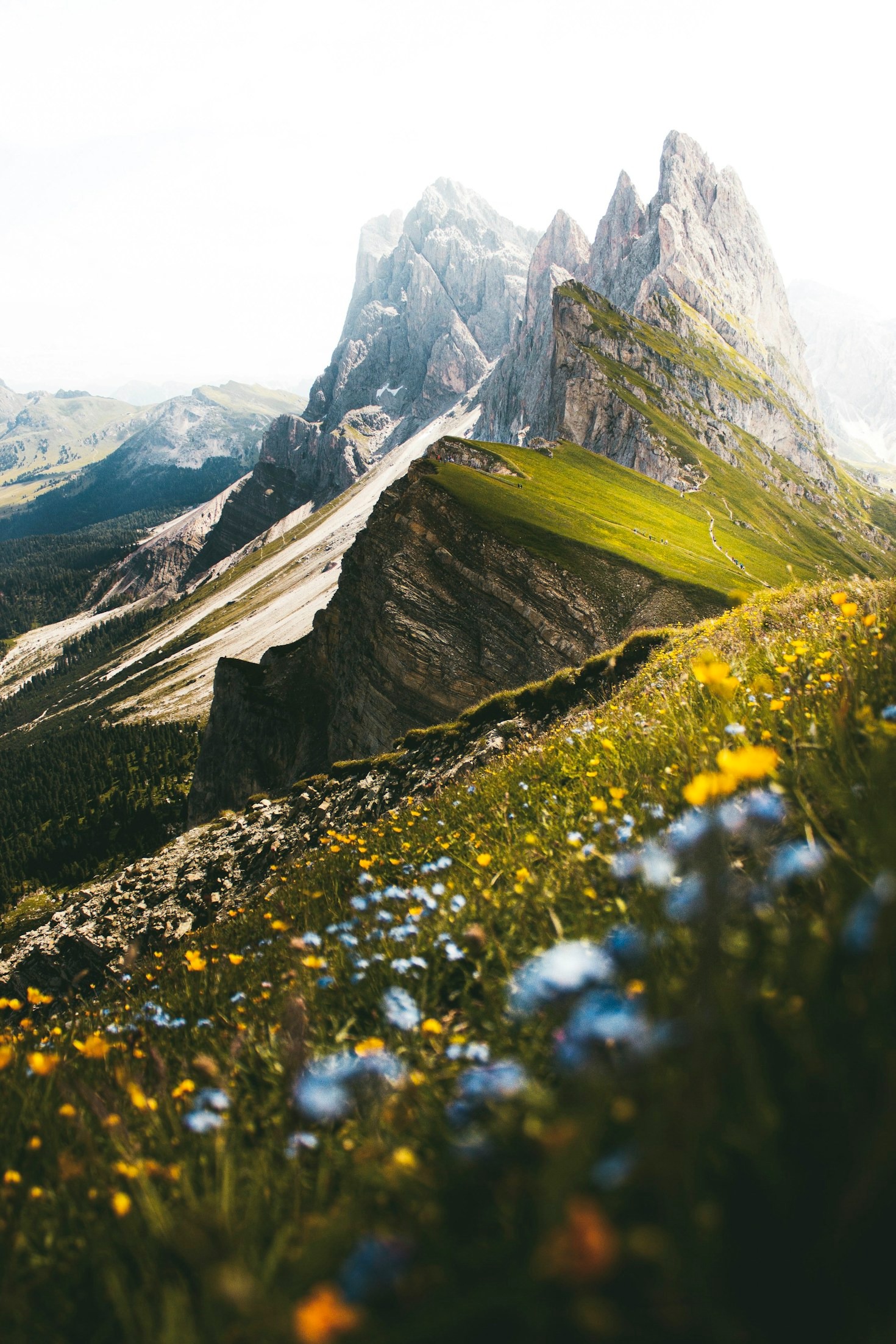 Connecting Communities Through Climbing and Support