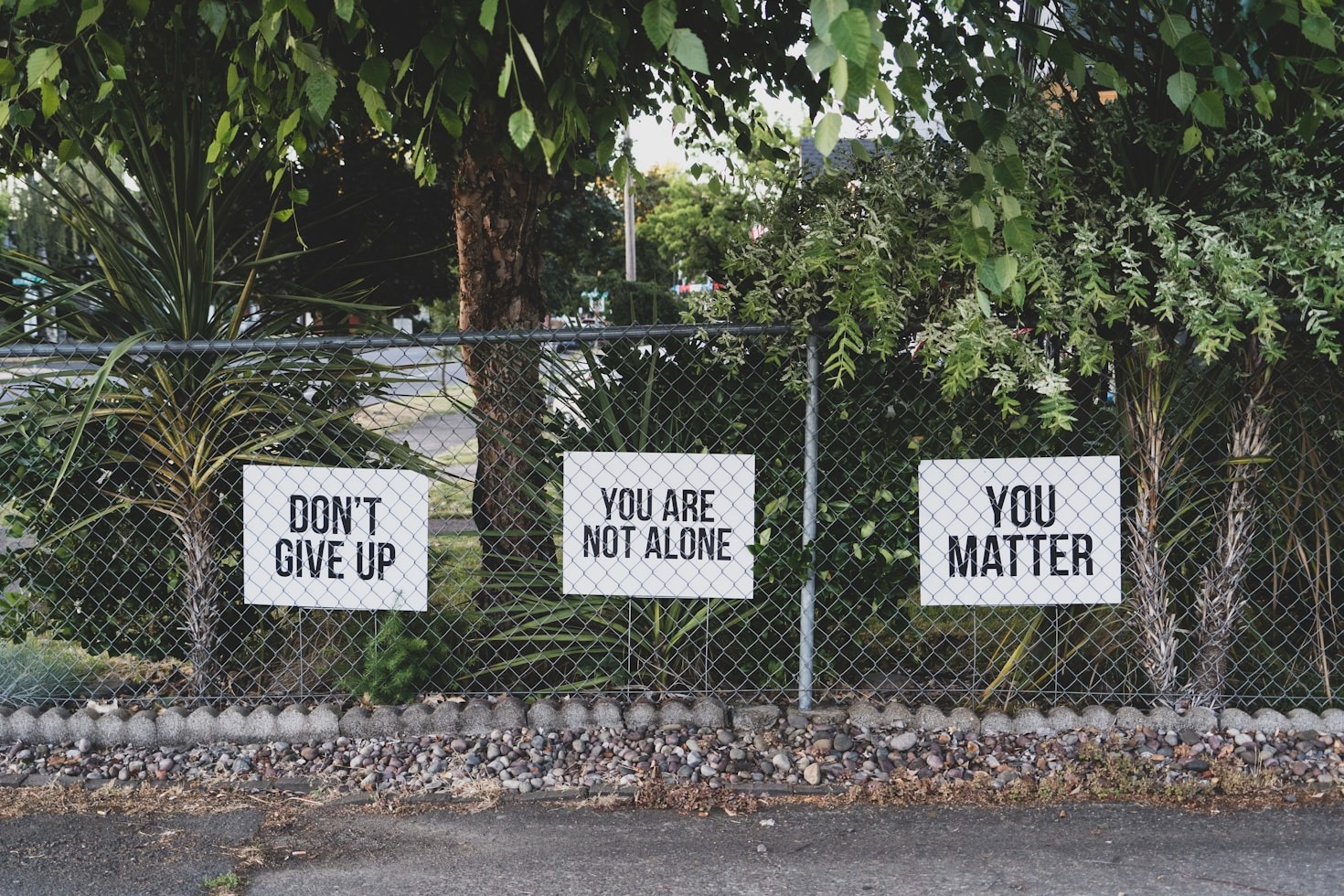 Empowering Recovery One Step at a Time